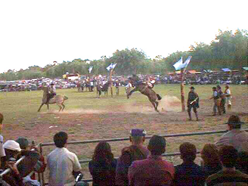 Fu� un �xito la Primer Fiesta de la Tradici�n en el Parque Municipal.