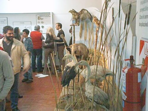 Visitas guiadas en el Museo Municipal Florentino Ameghino.