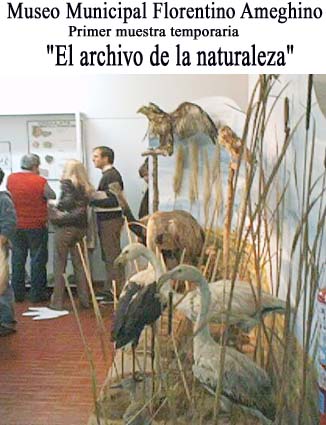Muestra temporaria en el museo municipal