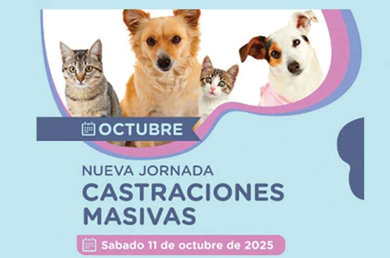Nueva jornada de castración masiva