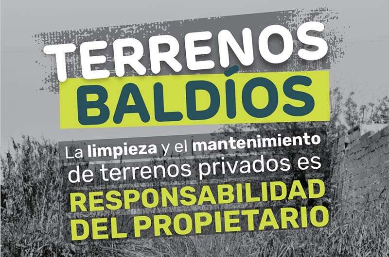 La importancia de asumir responsabilidades