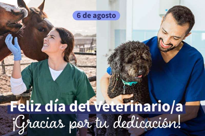 Día del Veterinario