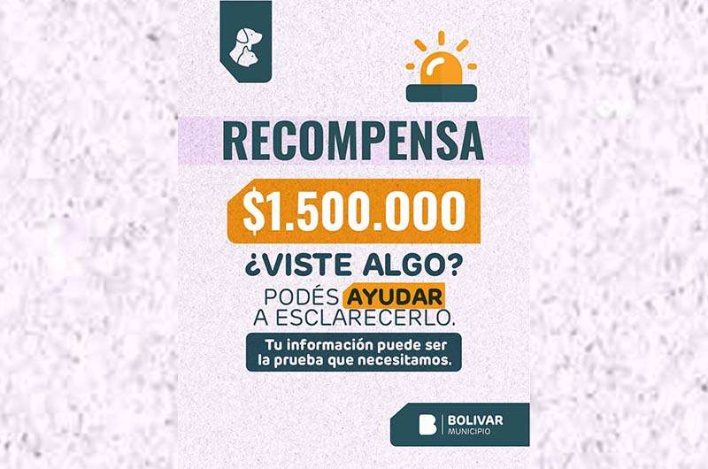 Buscan esclarecer casos de envenenamiento de animales