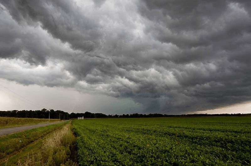 El agro obligado a repensar su estrategia de negocio